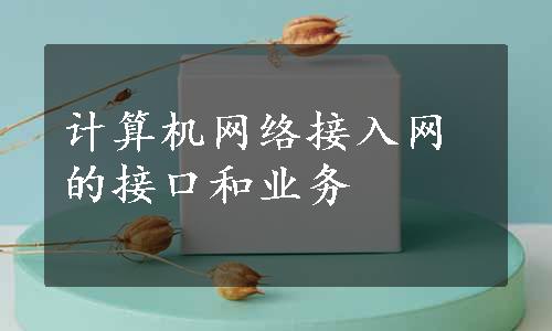 计算机网络接入网的接口和业务