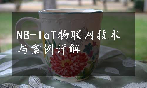 NB-IoT物联网技术与案例详解