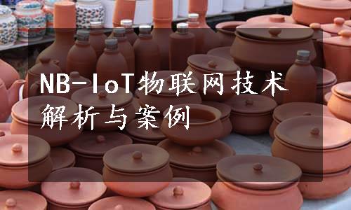 NB-IoT物联网技术解析与案例