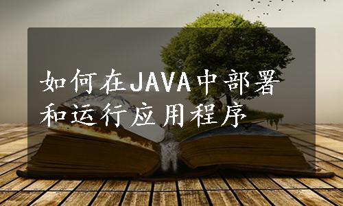 如何在JAVA中部署和运行应用程序