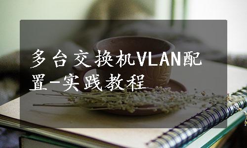 多台交换机VLAN配置-实践教程