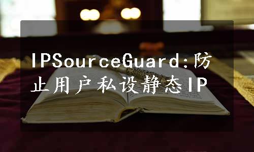 IPSourceGuard:防止用户私设静态IP