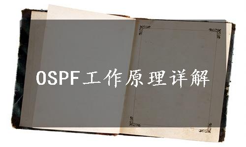 OSPF工作原理详解