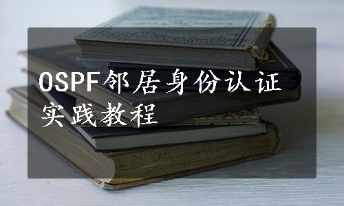 OSPF邻居身份认证实践教程