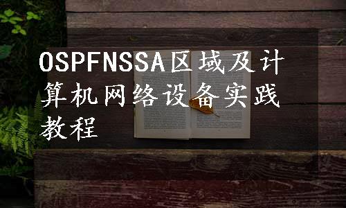 OSPFNSSA区域及计算机网络设备实践教程