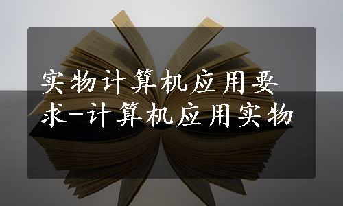 实物计算机应用要求-计算机应用实物