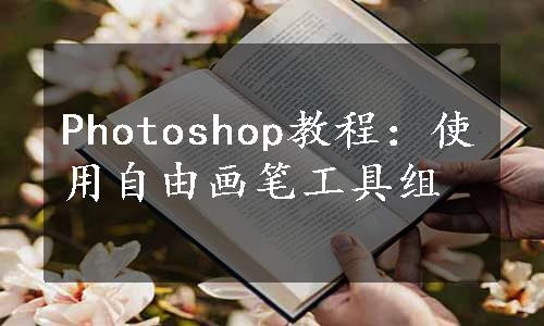 Photoshop教程：使用自由画笔工具组