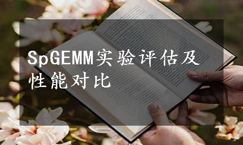 SpGEMM实验评估及性能对比