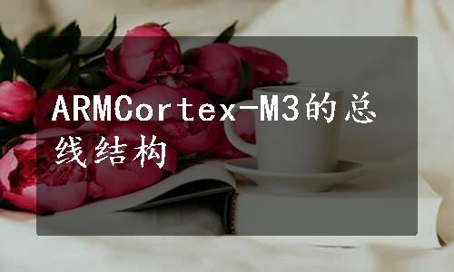 ARMCortex-M3的总线结构