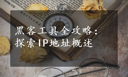 黑客工具全攻略：探索IP地址概述