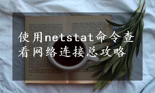 使用netstat命令查看网络连接总攻略