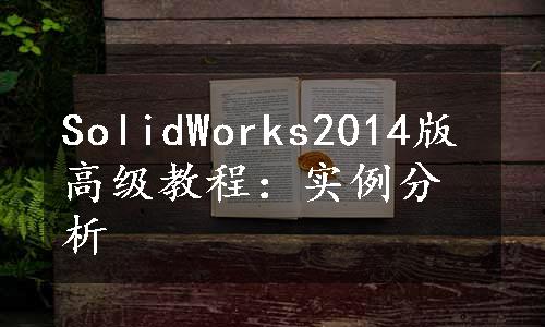 SolidWorks2014版高级教程：实例分析