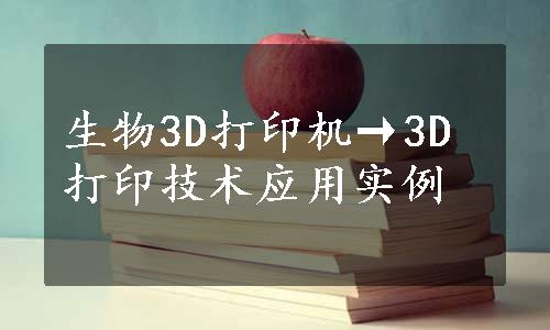 生物3D打印机→3D打印技术应用实例