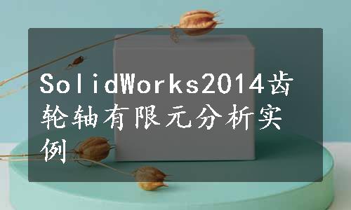 SolidWorks2014齿轮轴有限元分析实例