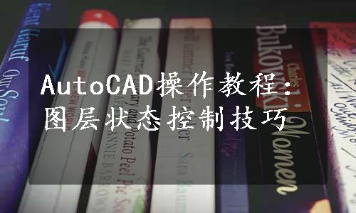 AutoCAD操作教程：图层状态控制技巧