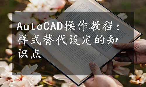 AutoCAD操作教程：样式替代设定的知识点