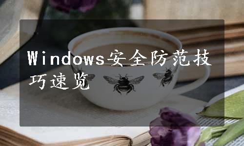 Windows安全防范技巧速览