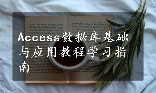 Access数据库基础与应用教程学习指南