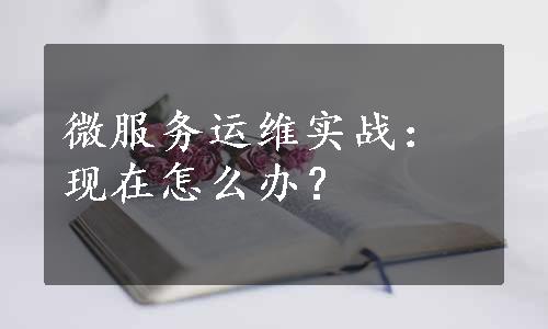 微服务运维实战：现在怎么办？