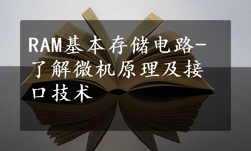 RAM基本存储电路-了解微机原理及接口技术