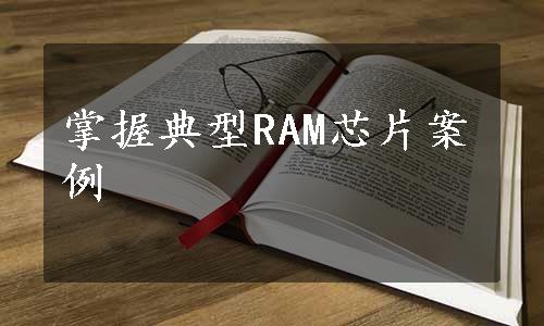 掌握典型RAM芯片案例