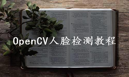 OpenCV人脸检测教程