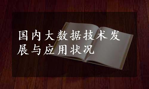 国内大数据技术发展与应用状况