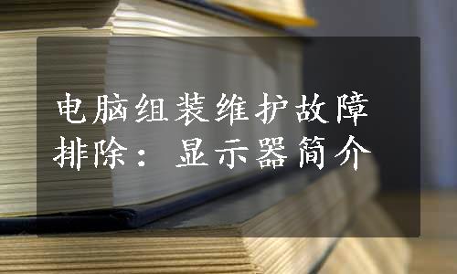 电脑组装维护故障排除：显示器简介