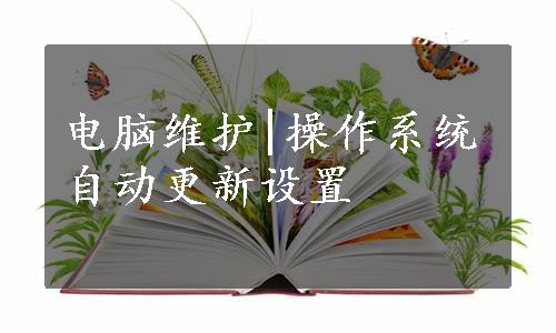 电脑维护|操作系统自动更新设置