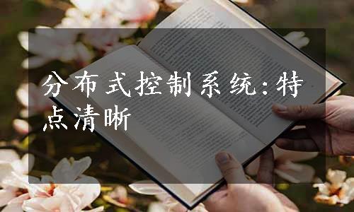 分布式控制系统:特点清晰