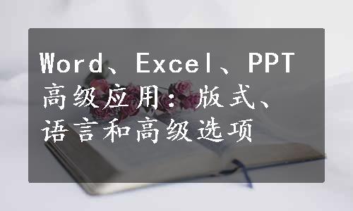 Word、Excel、PPT高级应用：版式、语言和高级选项