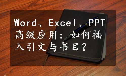 Word、Excel、PPT高级应用：如何插入引文与书目？