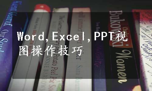 Word,Excel,PPT视图操作技巧