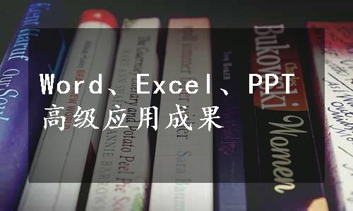 Word、Excel、PPT高级应用成果