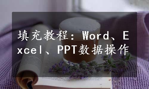 填充教程：Word、Excel、PPT数据操作