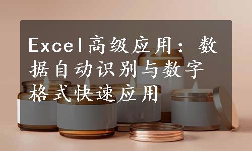 Excel高级应用：数据自动识别与数字格式快速应用