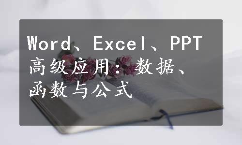 Word、Excel、PPT高级应用：数据、函数与公式