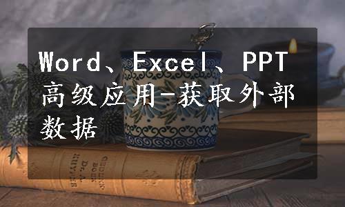 Word、Excel、PPT高级应用-获取外部数据