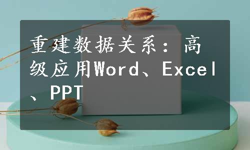 重建数据关系：高级应用Word、Excel、PPT