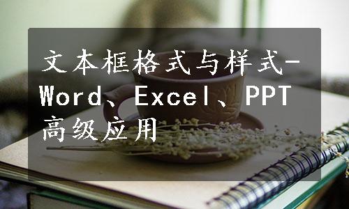 文本框格式与样式-Word、Excel、PPT高级应用