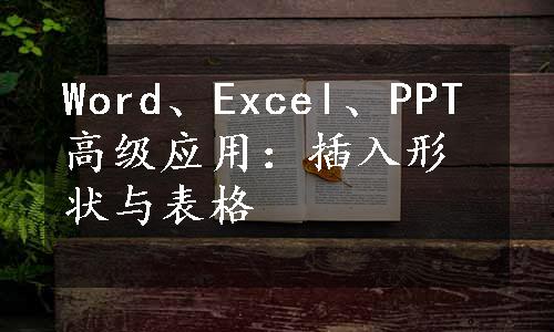 Word、Excel、PPT高级应用：插入形状与表格