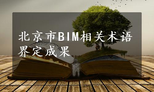 北京市BIM相关术语界定成果