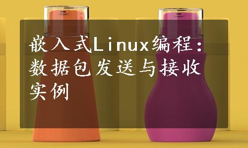 嵌入式Linux编程：数据包发送与接收实例