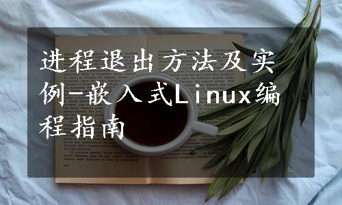 进程退出方法及实例-嵌入式Linux编程指南