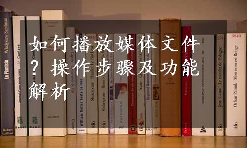 如何播放媒体文件？操作步骤及功能解析