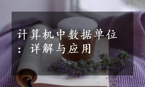 计算机中数据单位：详解与应用