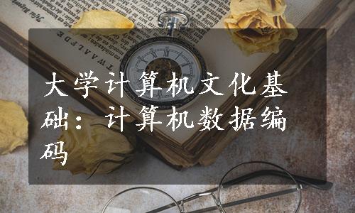 大学计算机文化基础：计算机数据编码