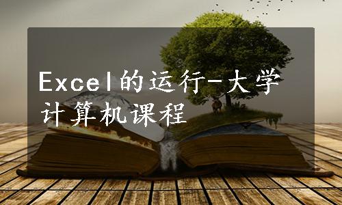 Excel的运行-大学计算机课程