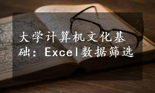 大学计算机文化基础：Excel数据筛选