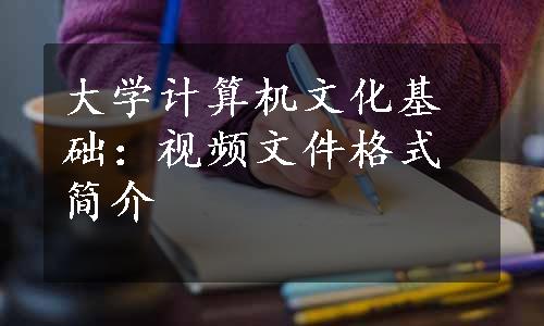 大学计算机文化基础：视频文件格式简介